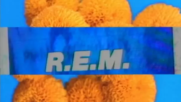R.E.M.: Parallel