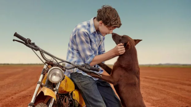 Watch Red Dog: True Blue Trailer