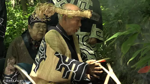 Ainu: Indigenous People of Japan