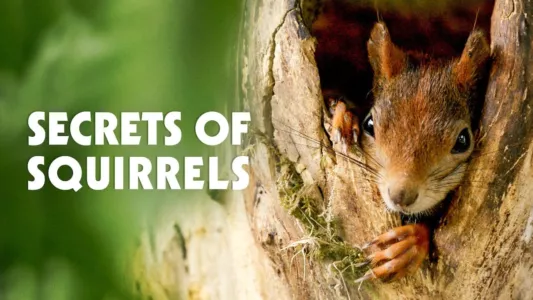 Secrets of Squirrels
