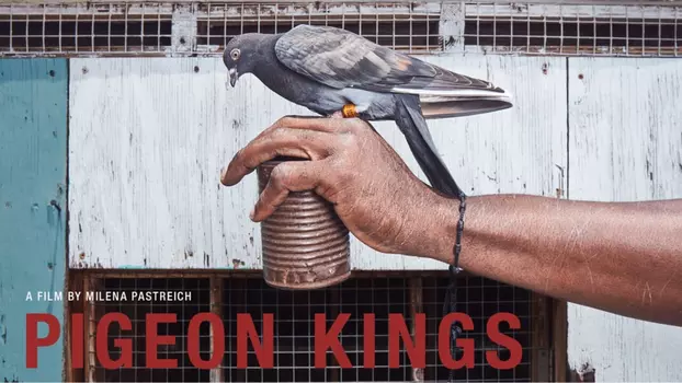 Watch Pigeon Kings Trailer