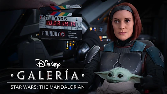 Disney Gallery / Star Wars: The Mandalorian