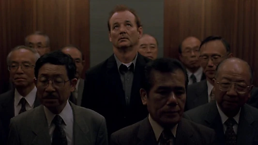 Lost in Translation