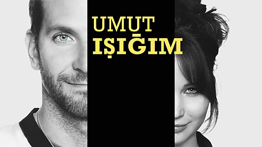 Silver Linings Playbook