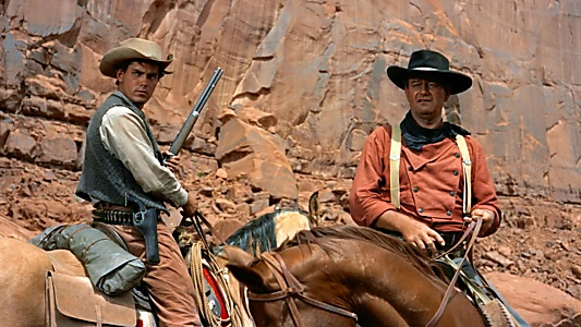 The Searchers