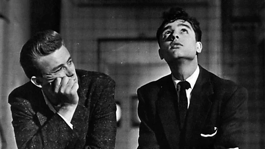 Rebel Without a Cause