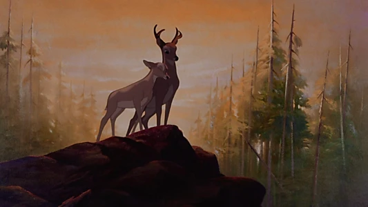Bambi