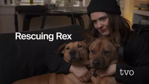 Watch Rescuing Rex Trailer