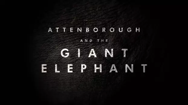 Watch Attenborough and the Giant Elephant Trailer