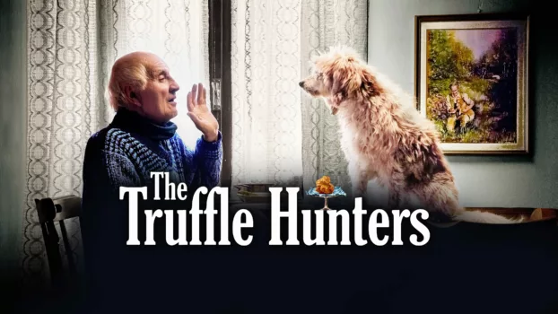 Watch The Truffle Hunters Trailer
