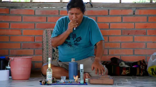 Watch The Shaman & Ayahuasca: Journeys to Sacred Realms Trailer