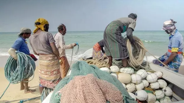 Wem gehört das Meer? Ocean Grabbing - Die neue Meeresordnung