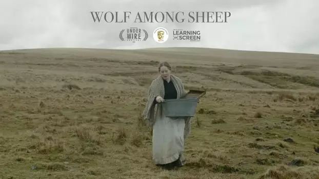 Wolf Among Sheep