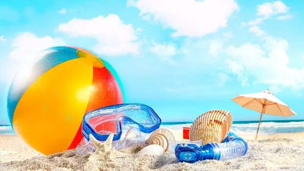 Summer Vacation