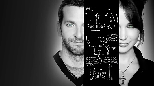 Silver Linings Playbook
