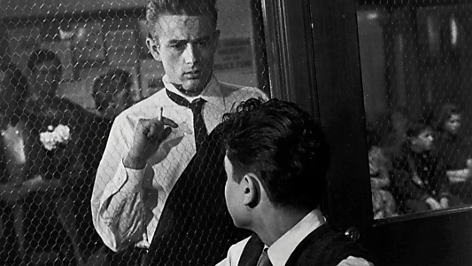 Rebel Without a Cause