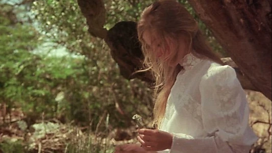 Picnic at Hanging Rock