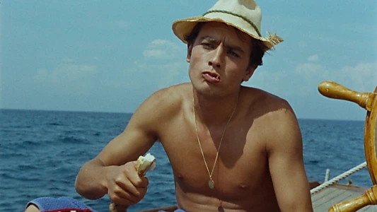 Purple Noon