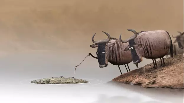 Watch Wildebeest Trailer