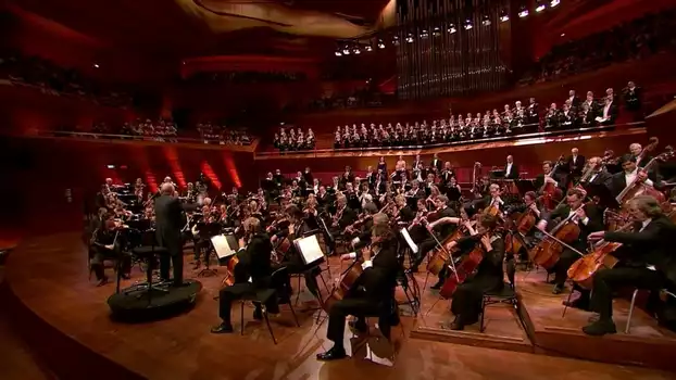 Rafael Frühbeck De Burgos, Danish National Symphony Orchestra ‎– Ludwig van Beethoven The Symphonies