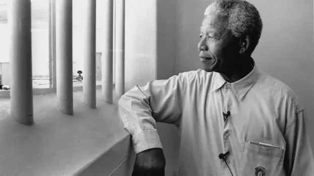 The Struggle Is My Life: Nelson Mandela 1918 - 2013