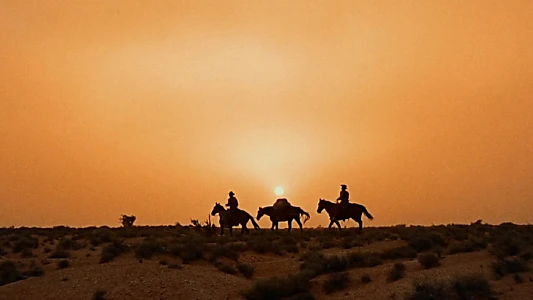 The Searchers