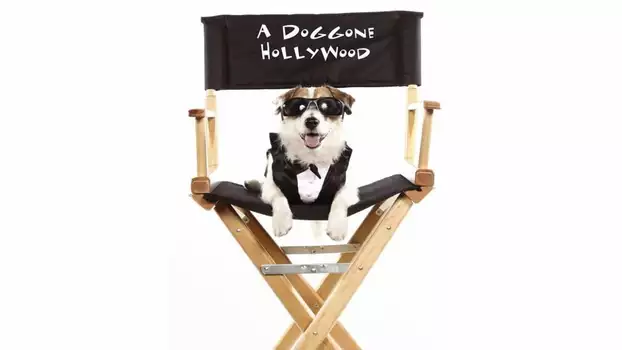 Watch A Doggone Hollywood Trailer