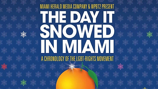 The Day it Snowed in Miami