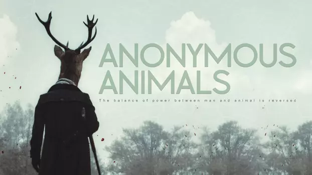 Watch Anonymous Animals Trailer