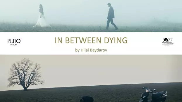 Watch In Between Dying Trailer