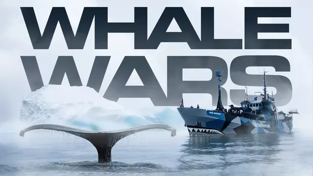 Watch Whale Wars Trailer