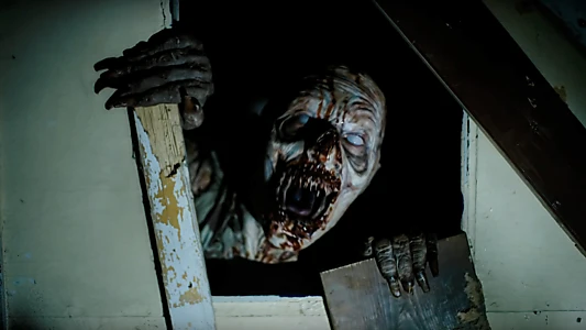Until Dawn
