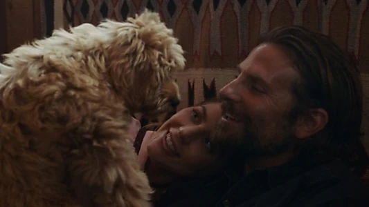 A Star Is Born