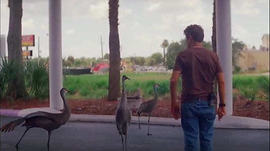 The Florida Project
