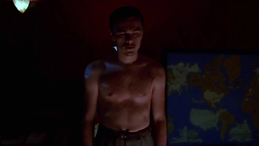 The Aviator