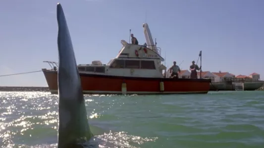 Watch Shark Attack 2 Trailer