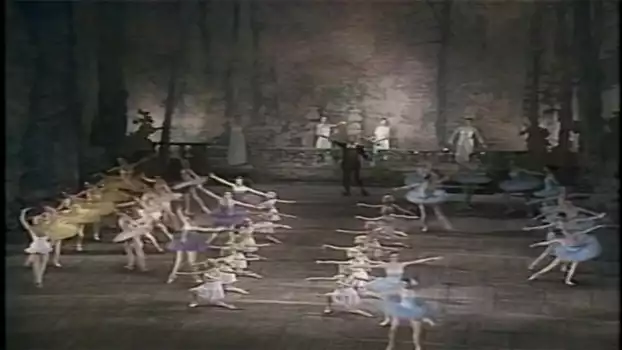 Don Quixote (Kirov Ballet)