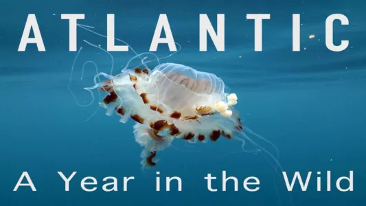 Atlantic: A Year in the Wild