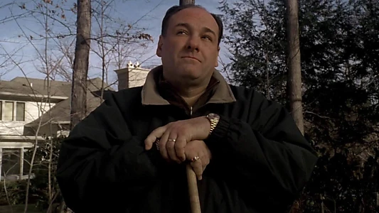 Wise Guy: David Chase and The Sopranos