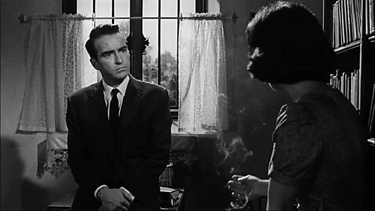 Suddenly, Last Summer