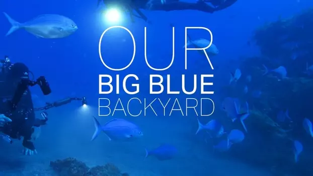 Watch Our Big Blue Backyard Trailer