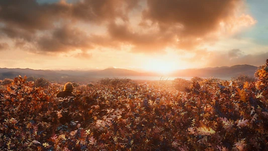The Hobbit: The Desolation of Smaug