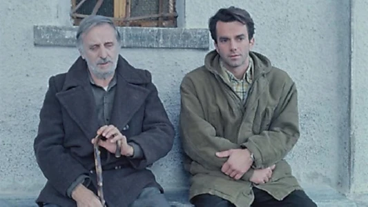 Il caso Martello