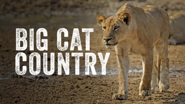 Watch Big Cat Country Trailer