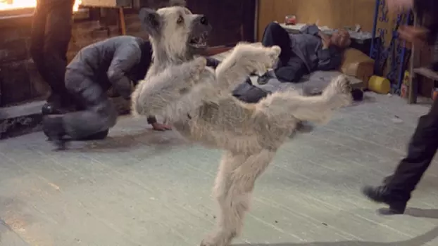 Watch The Karate Dog Trailer