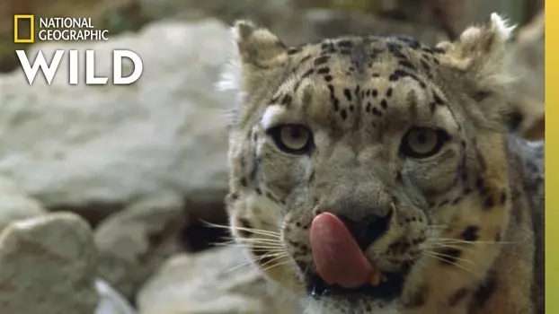 Watch China's Wild Side Trailer