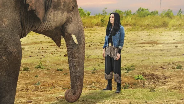 Watch Cher & the Loneliest Elephant Trailer
