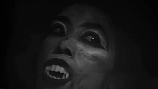 Watch Fright Night of the Living Dead Trailer
