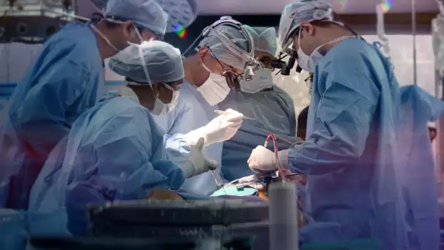 Watch The Surgeon's Cut Trailer