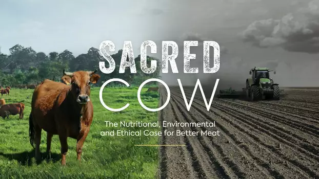 Watch Sacred Cow: The Nutritional, Environmental and Ethical Case for Better Meat Trailer